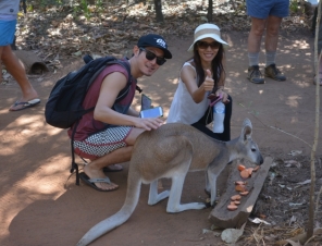 Wallaby